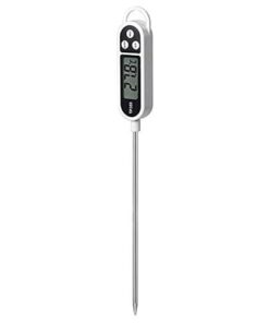 Digital Thermometer Tp-300