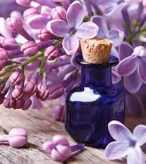 French Lilac Fragrance oil