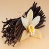 Vanilla SPC Fragrance oil